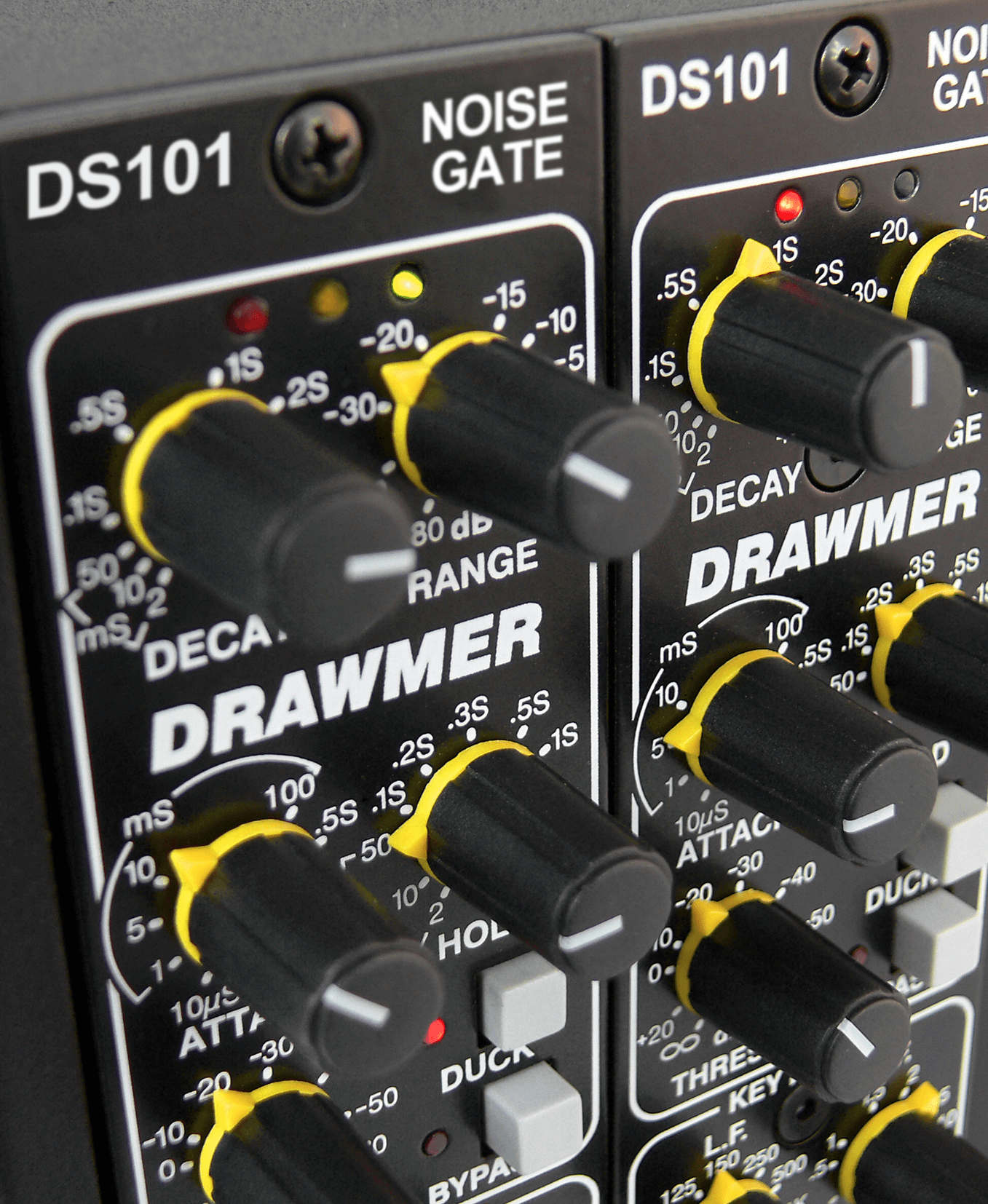 A very close up image of the DS101